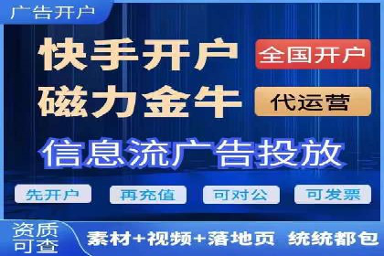 搜索引擎营销（SEM）在本地市场的投放案例